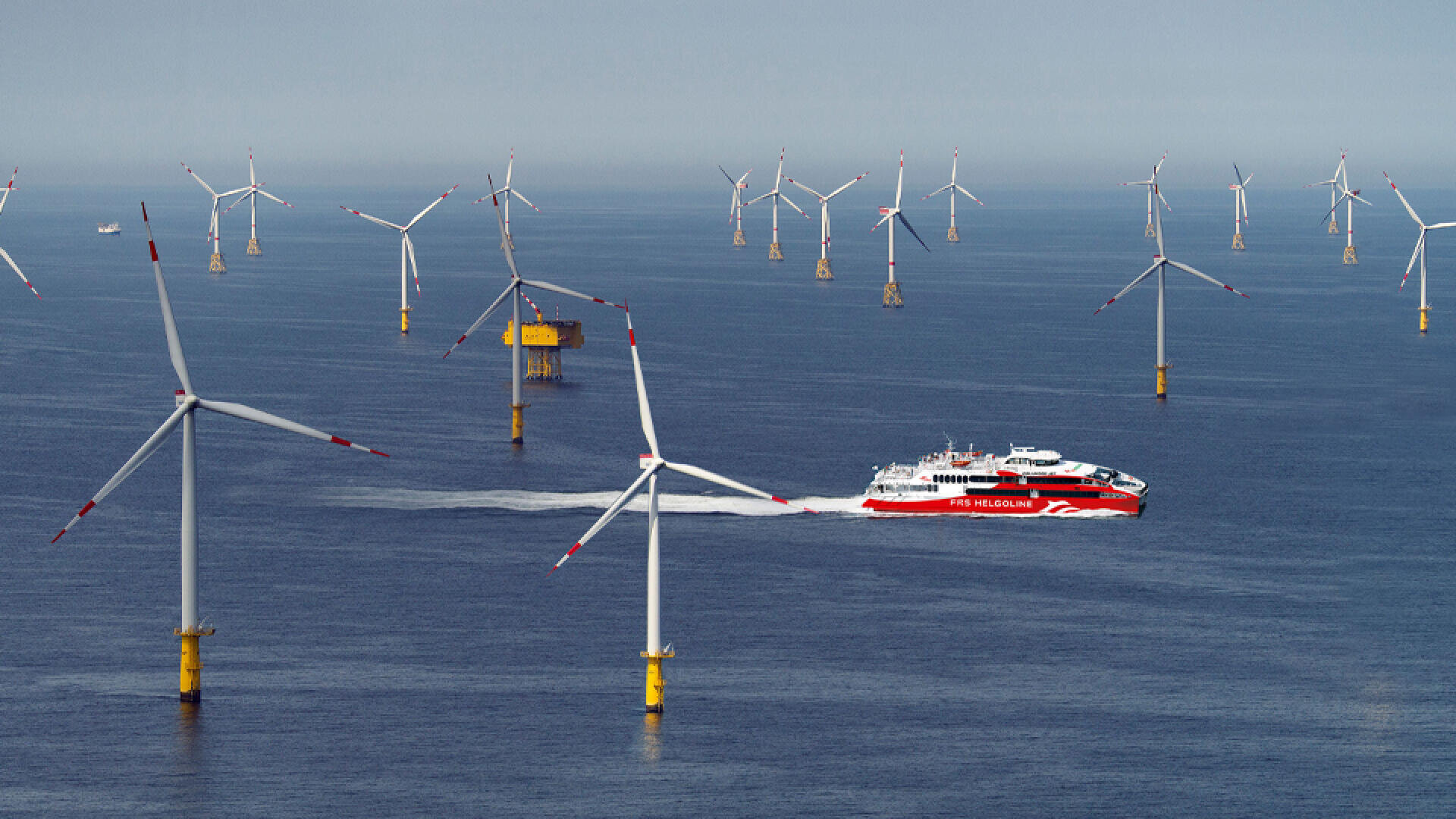 Eine rot-weiße Passagierfähre fährt durch einen Offshore-Windpark, umgeben von zahlreichen Windrädern, die unter klarem Himmel im Meer stehen.