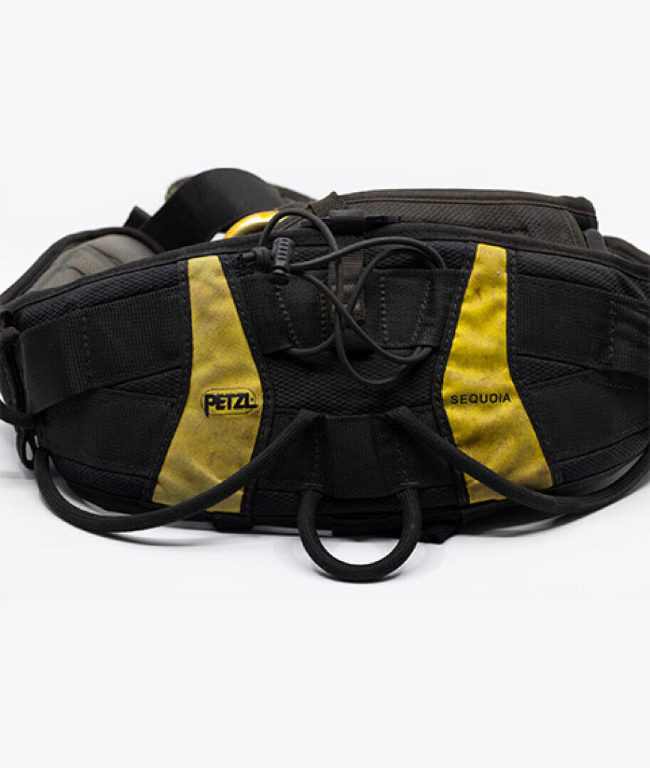 Ein schwarz-gelber Petzl Sequoia-Klettergurt ist ordentlich aufgerollt, wobei der Markenname und die Ausrüstungsschlaufen vor einem schlichten weißen Hintergrund zu sehen sind.