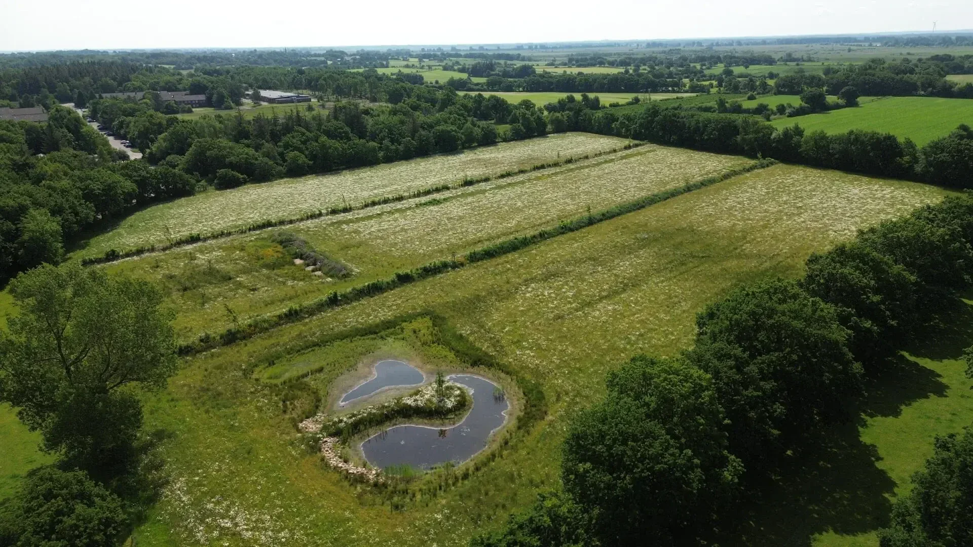 Ein kleiner, von Bäumen umgebener Teich liegt in einem grasbewachsenen Feld, und unter dem meist klaren Himmel sind weitere Felder, vereinzelte Bäume und entfernte Gebäude zu sehen.