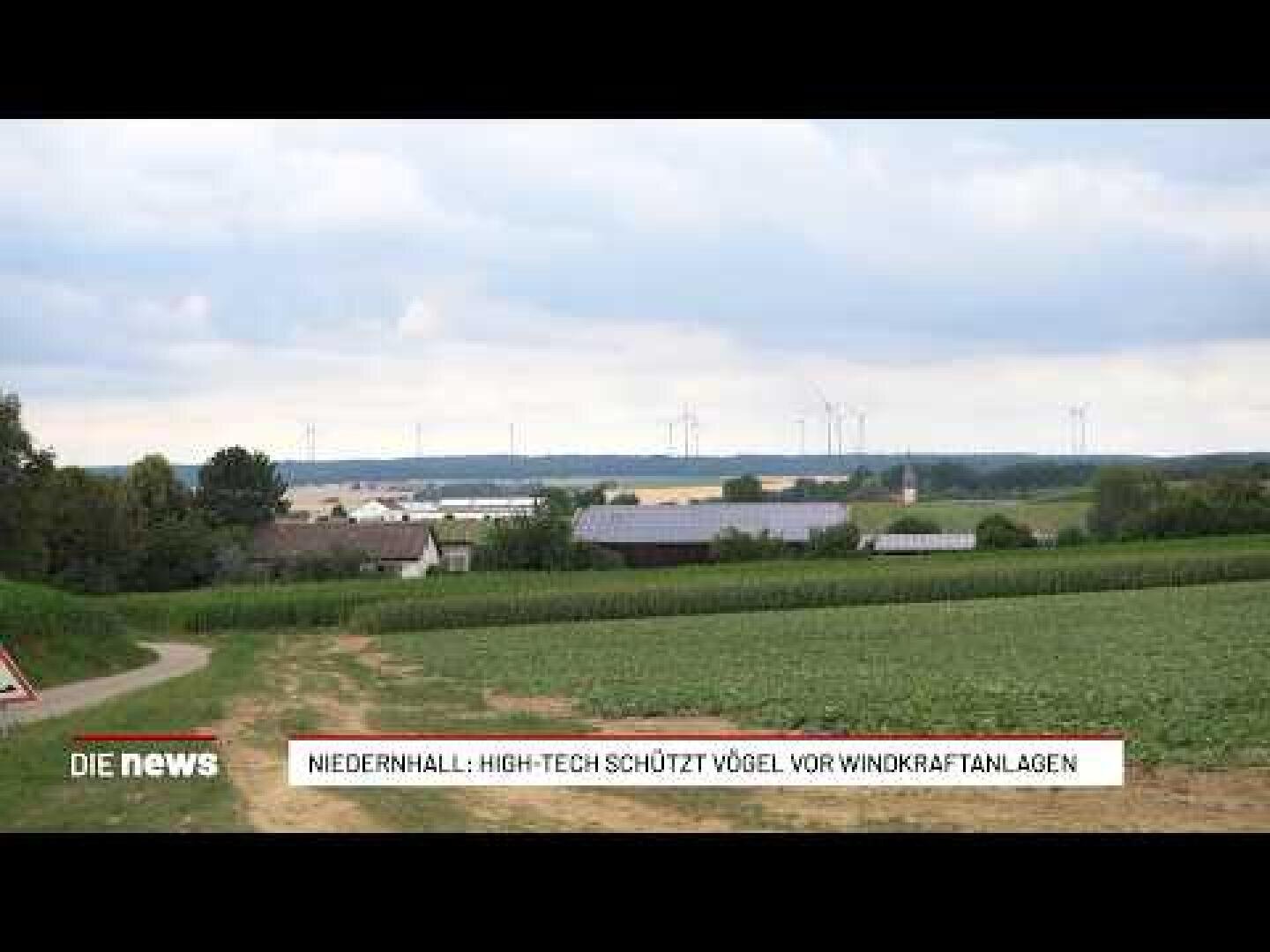 Eine ländliche Landschaft mit Feldern, einigen Häusern und Windkraftanlagen in der Ferne unter einem bewölkten Himmel. Am unteren Bildrand steht eine Bildunterschrift: NIEDERNHALL: HIGH-TECH SCHÜTZT VÖGEL VOR WINDKRAFTANLAGEN.