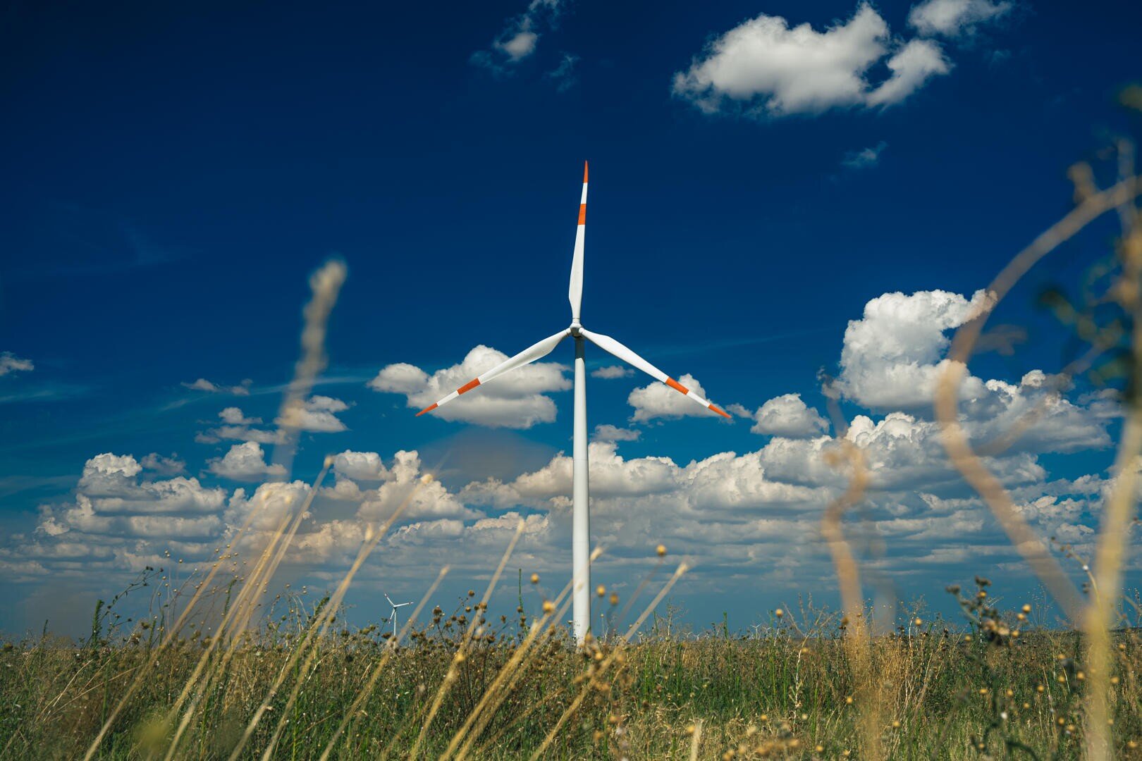 Eine Windkraftanlage steht in einem grasbewachsenen Feld unter einem tiefblauen Himmel mit vereinzelten weißen Wolken. Im Vordergrund sind hohes Gras und Wildblumen zu sehen.