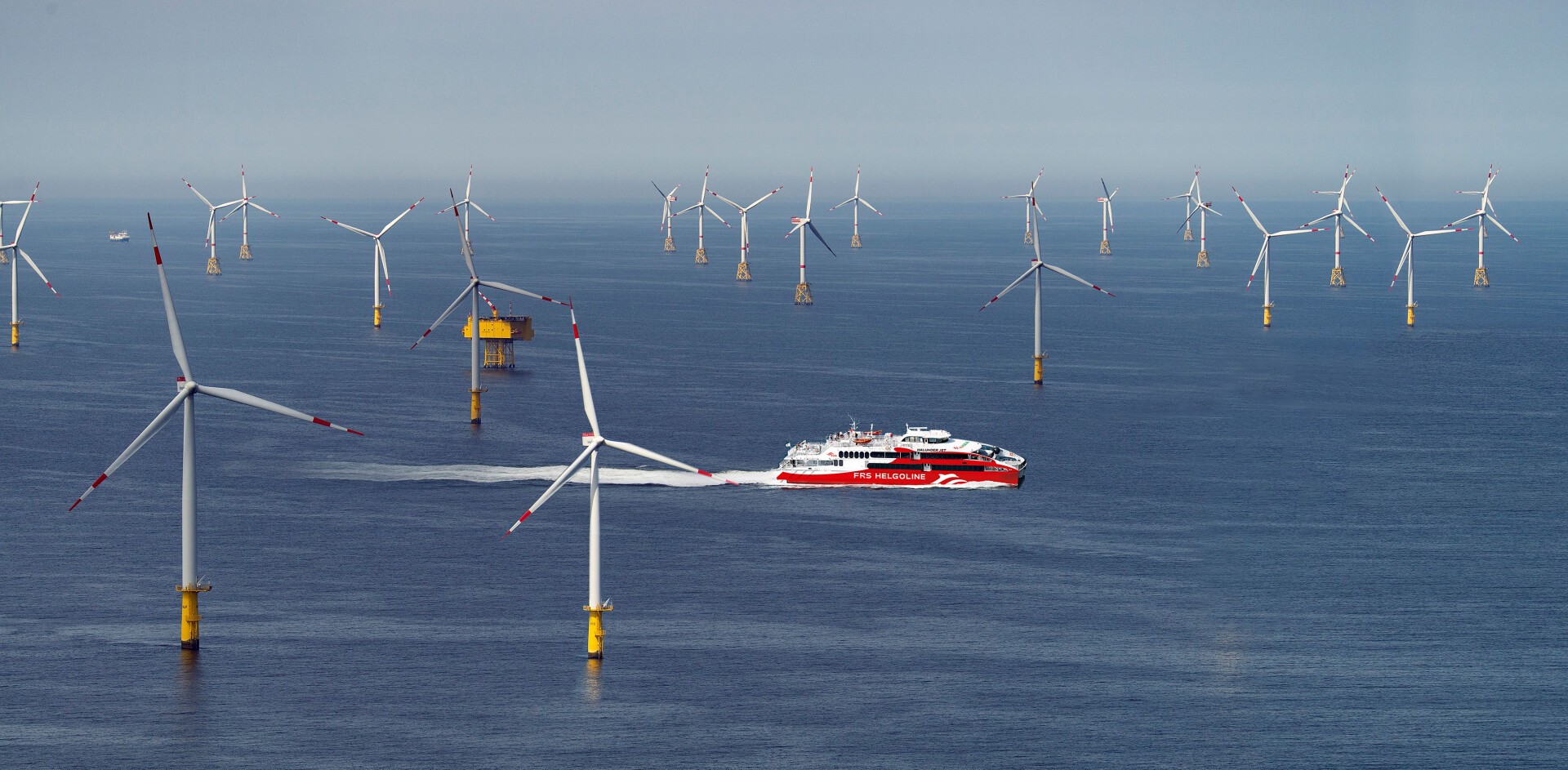 A red and white ferry sails through an offshore wind farm, surrounded by multiple large wind turbines standing in the ocean under a clear sky.