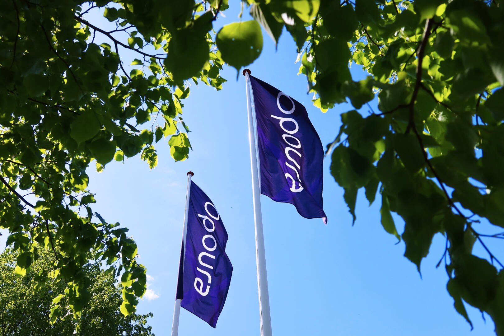 A group of flags on poles.