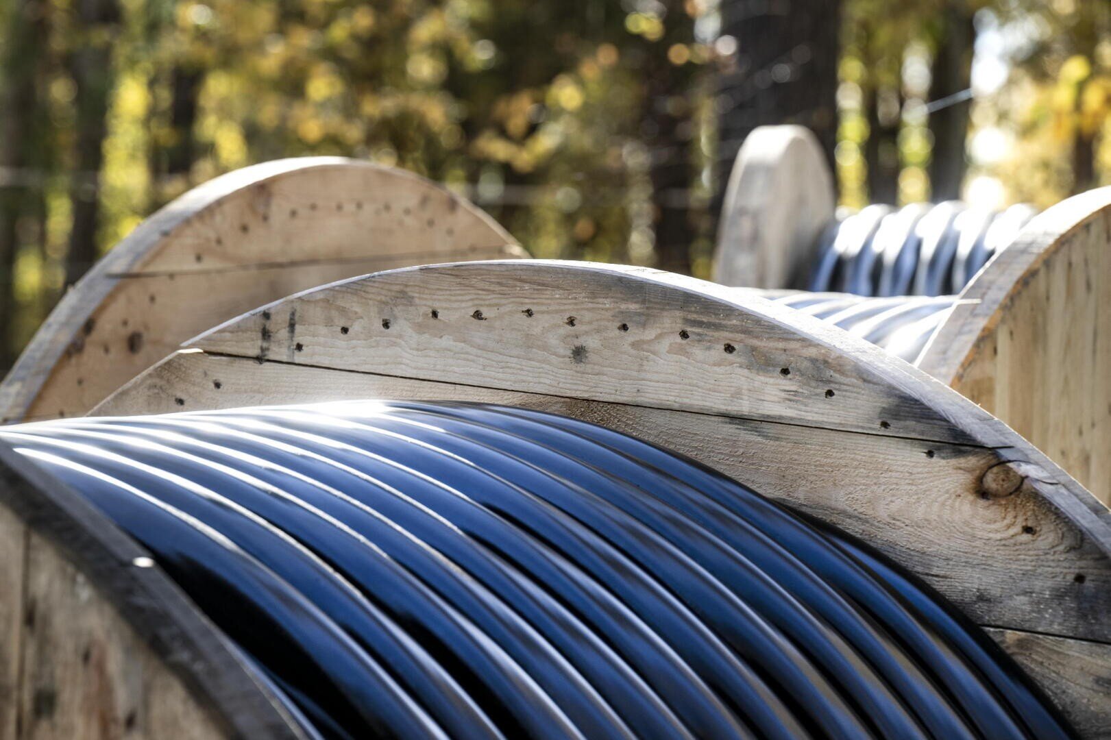 Large wooden reels holding black cables are lined up outdoors with trees and sunlight in the background.