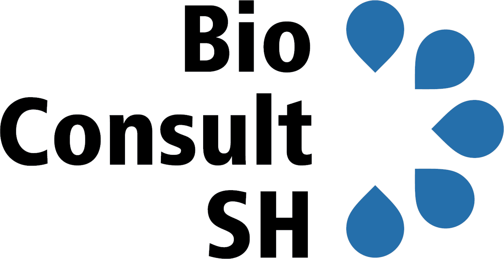 Logo mit dem Schriftzug Bio Consult SH in fetter schwarzer Schrift, begleitet von fünf blauen, halbkreisförmig angeordneten Tropfen auf der rechten Seite.