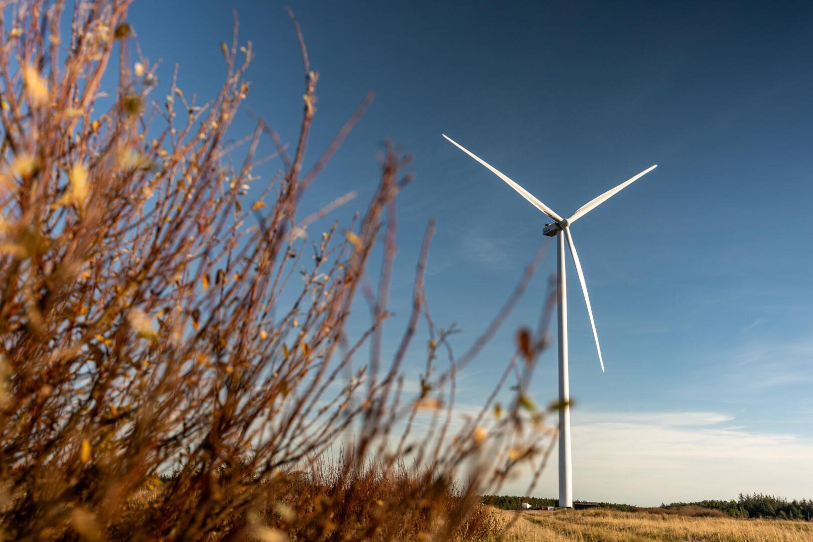 Eine große weiße Windturbine steht hoch auf einem offenen Feld unter einem klaren blauen Himmel, mit trockenen braunen Büschen im Vordergrund.
