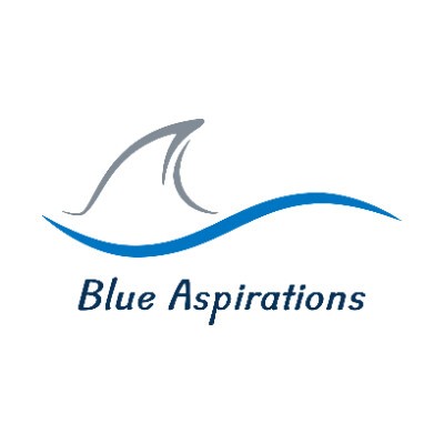 Logo Hangzhou Blue Aspirations Technology Co., Ltd.