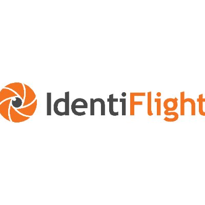 Logo IdentiFlight
